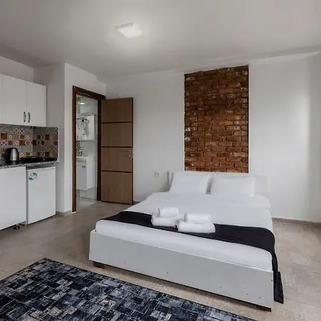 Cozy & Comfy Studio At Beyoglu - 12 Apartment