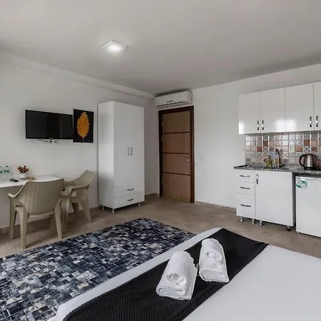 Cozy & Comfy Studio At Beyoglu - 12 דירה